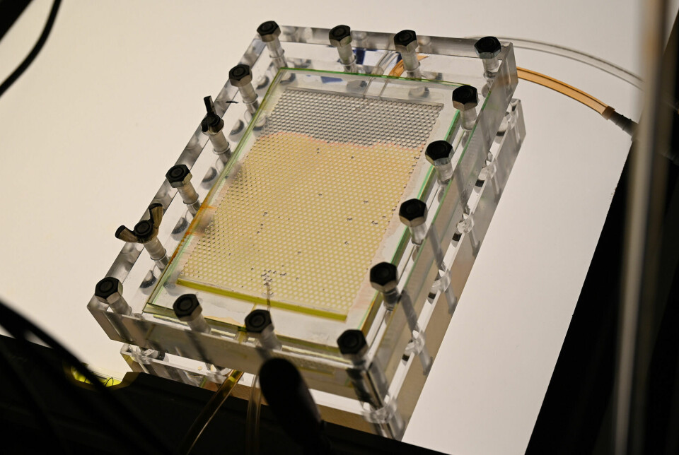 Idealised laboratory model where CO2 is injected at the top. Here, the rock has been replaced with transparent glass spheres.