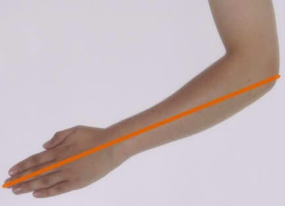 An ell stretched from the elbow to the fingertip. But how long was that, really? It varied, so you would need to compare it with someone else.