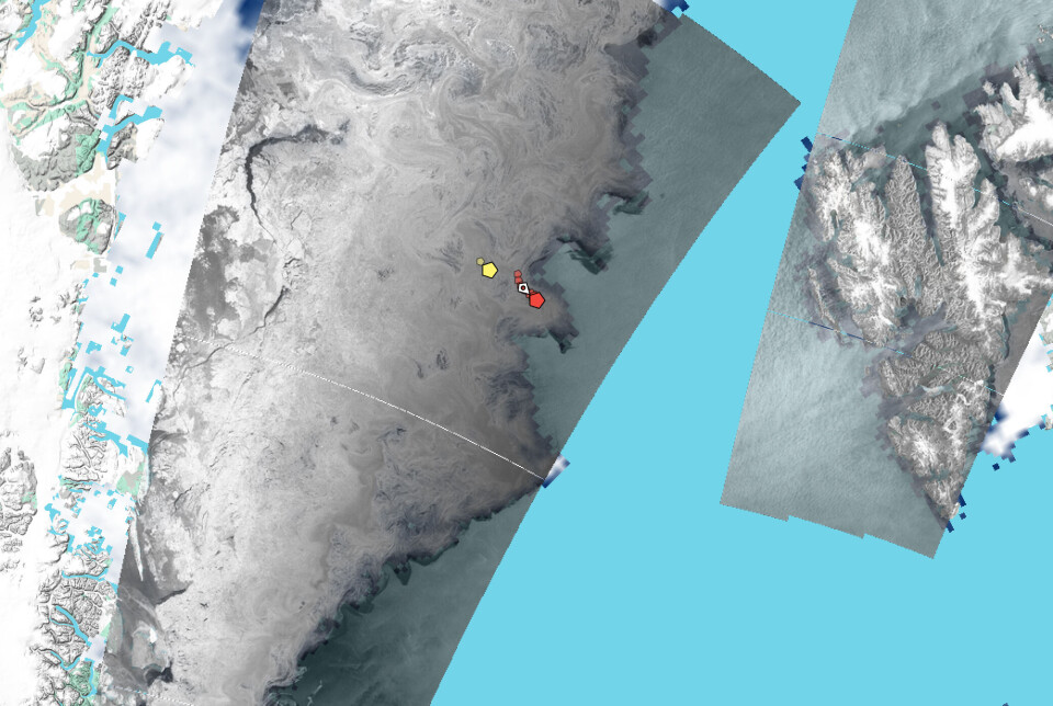 Satellite Synthetic-aperture Radar (SAR) is a useful tool for analysing sea ice, as seen in this image from February, 8. The red and yellow markers show the trajectory of ice drifting buoys. The red buoy reports a significant wave height of 4.4 metres. The data can be accessed here.