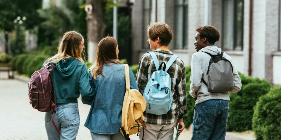 The study shows that work values largely shape young people's decisions in all important areas of life.