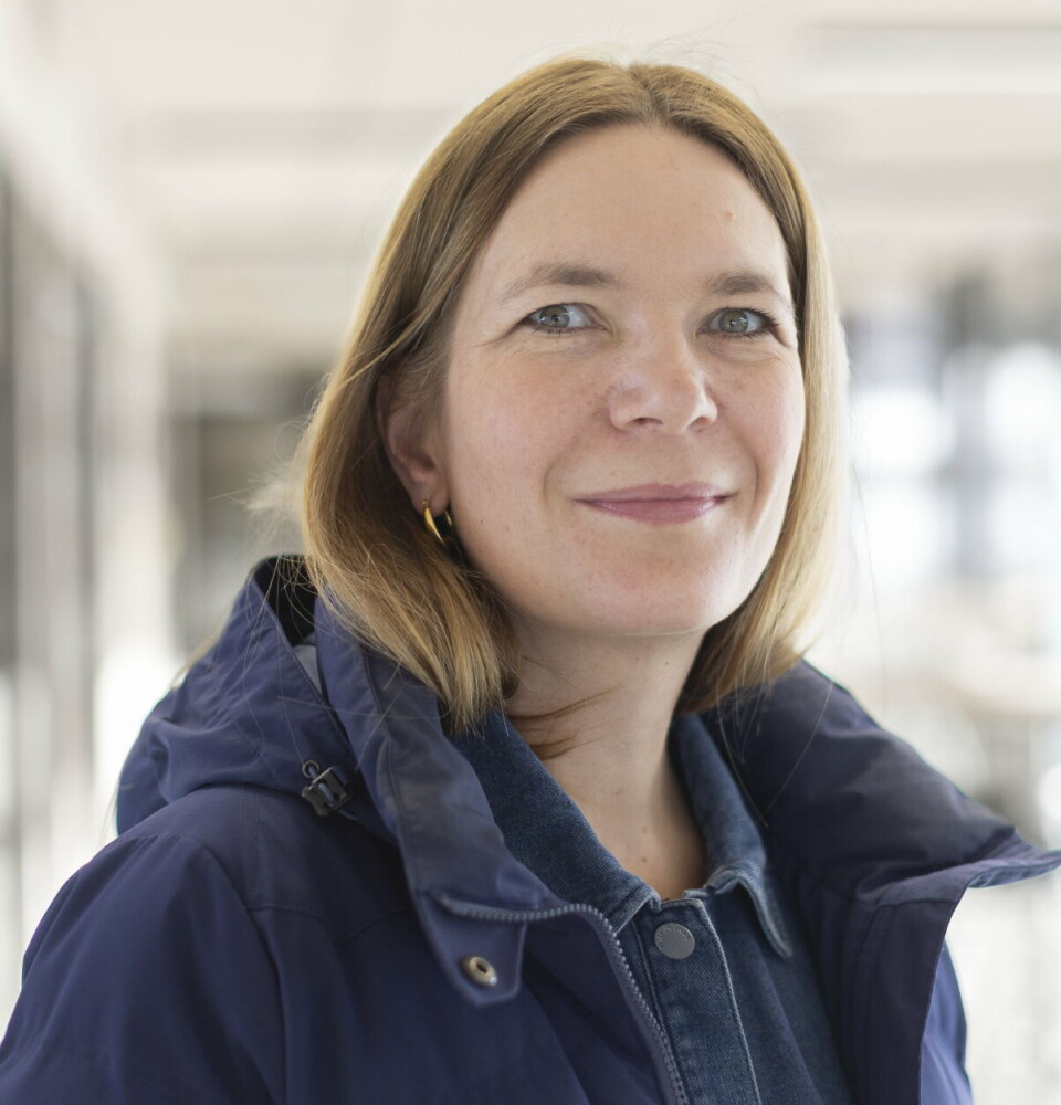 “Although we can't rule out better health among youth with immigrant parents, the findings indicate that this group underutilise healthcare services,” says Professor Marte Kjøllesdal.
