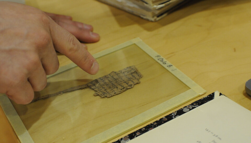 A fragment from Homer's Odyssey, dated to the 3rd or 4th century CE. Federico Aurora peker på en bit av papyrus.