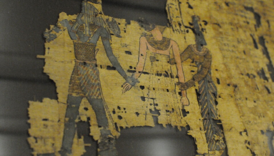 A coloured drawing preserved on one of the papyrus sheets. Egyptisk tegning med farger.