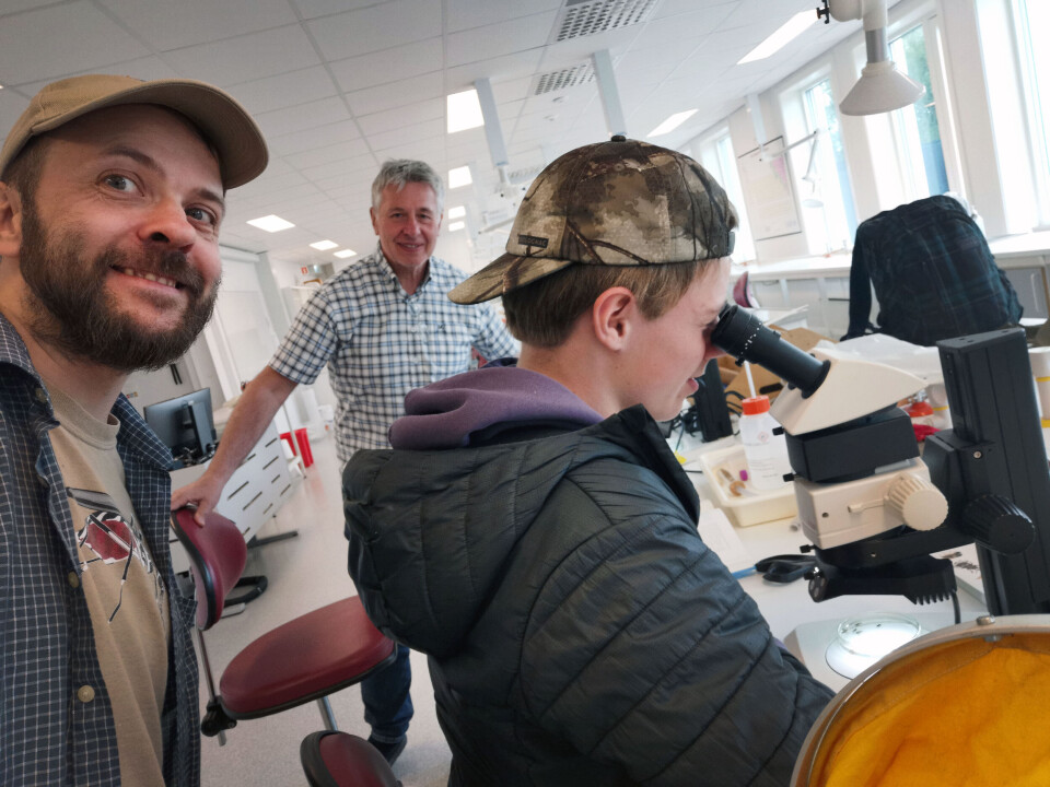 School student discovered a new species in Norway