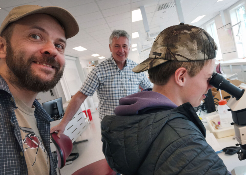 Insect researcher Gunnar Kvifte brought ninth-grader Thor Melis along for a work experience week. They made a very special discovery.