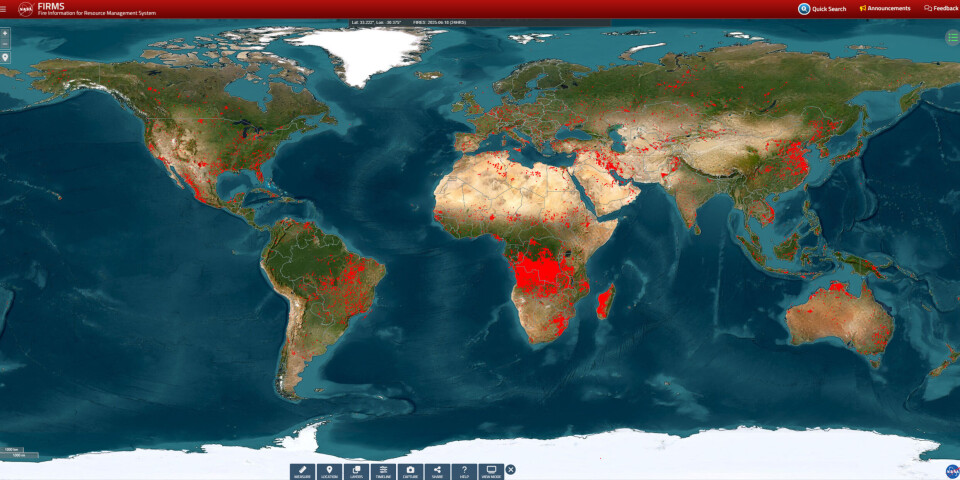 NASA’s Fire Information for Resource Management Systems (FIRMS) website shows a global fire map, with the option of choosing different time periods. The picture shows the last 24 hours, at 10.30 AM on June 18, 2025.