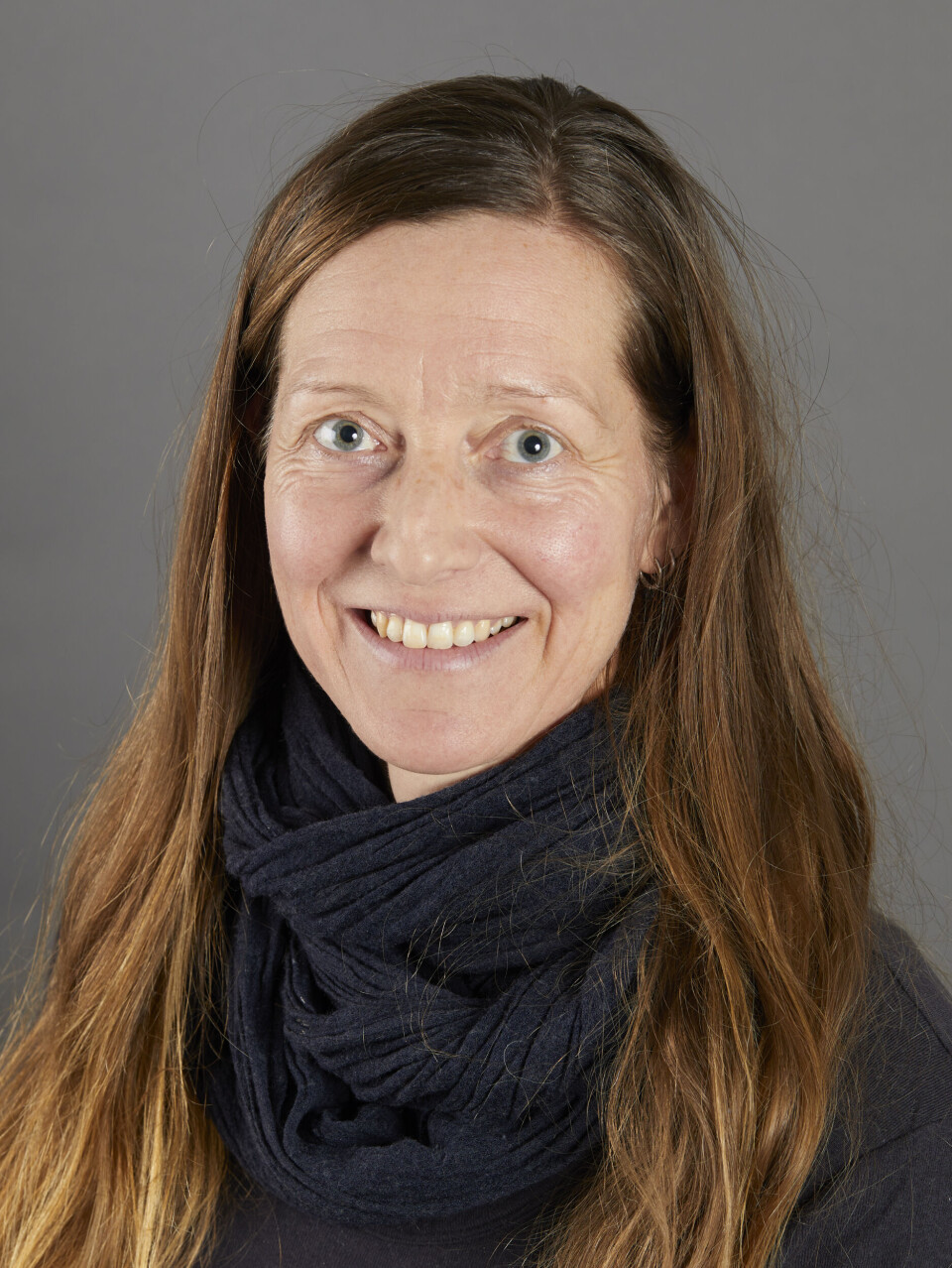 Art historian Karoline Kjesrud at the University of Oslo believes the Rødven portal should be viewed in context with other Norwegian cultural objects, such as runestones.