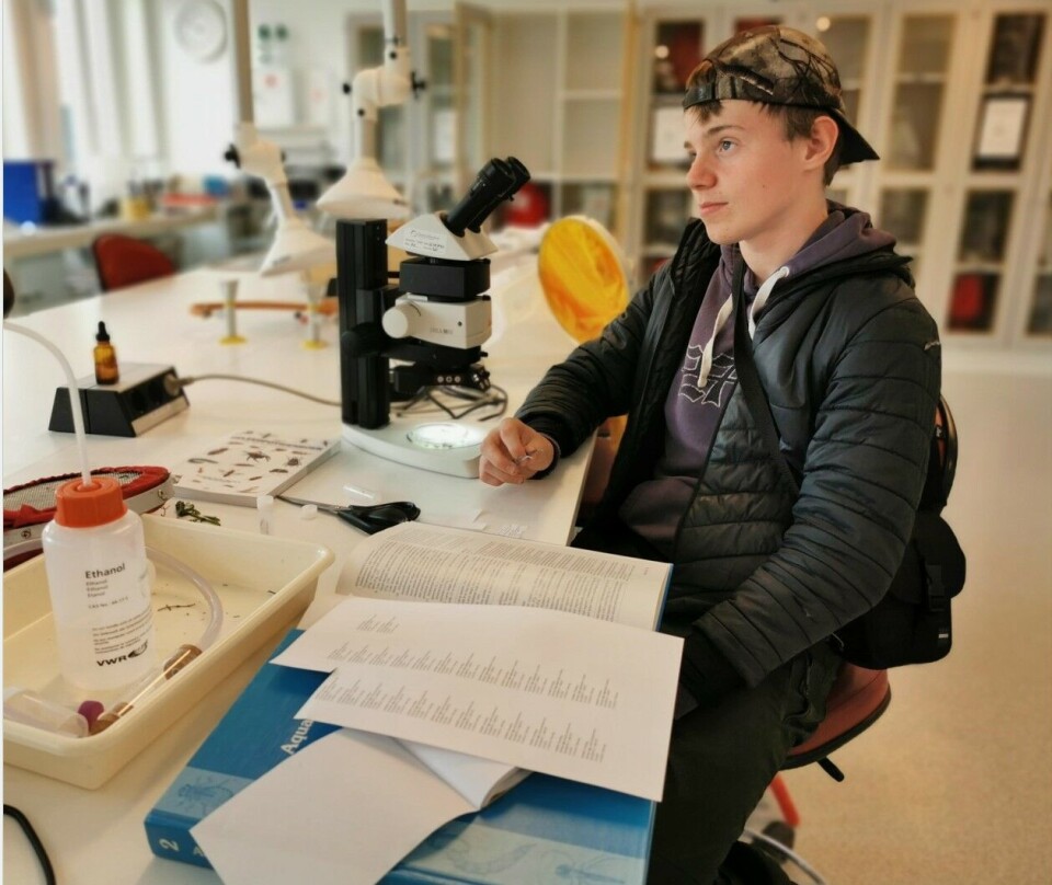 Melis is glad he contacted researchers when he was looking for work experience. 'My best tip is to do what you want, and not just follow what your friends are doing,' he says.