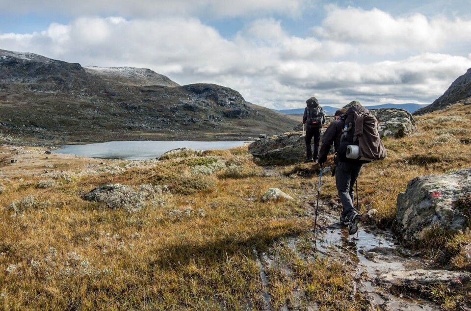 Outdoor recreation does not have to be extreme sports to be beneficial, says researcher.