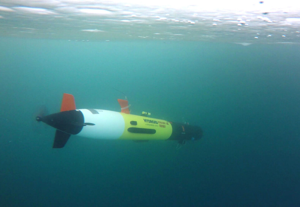 This is an underwater robot called REMUS. Shown here operating under the ice in Svalbard.