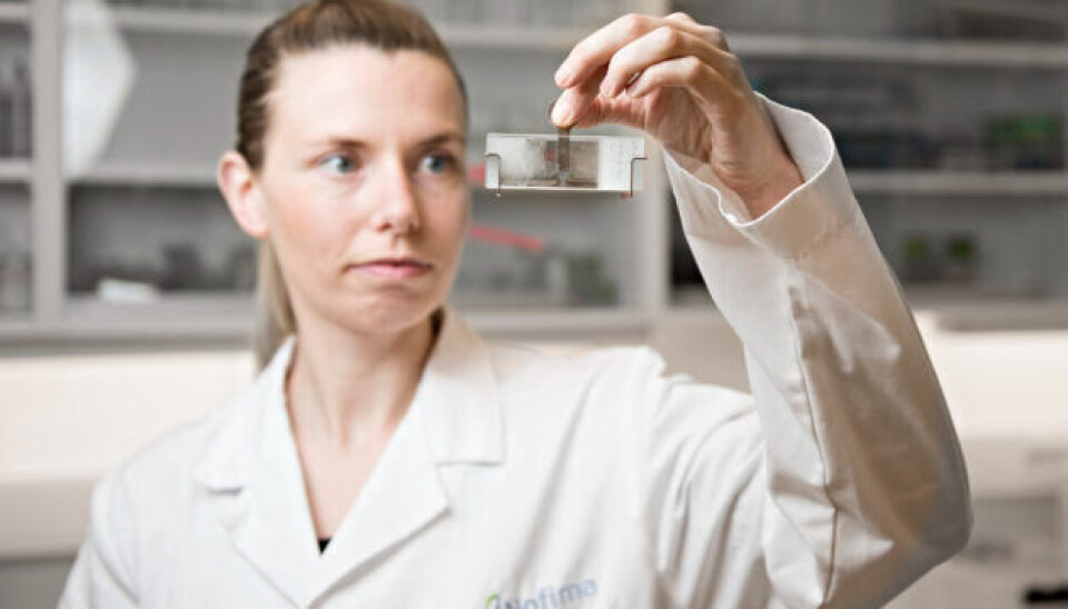 Lene Sveen at Nofima has studied the early contact between salmon and lice.