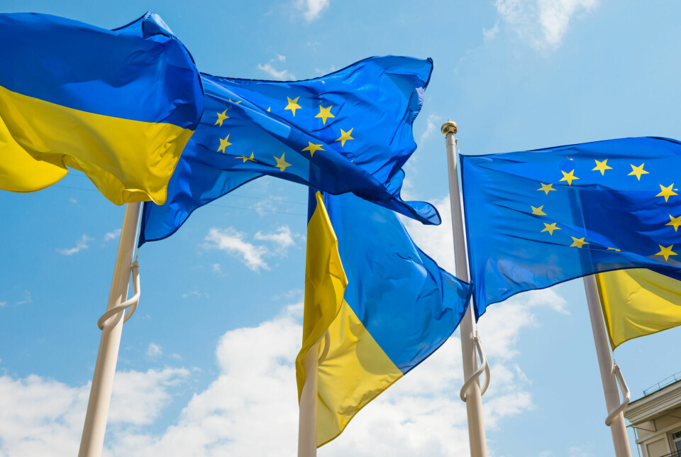 How does the flexible cooperation between the EU and the Nordic countries work? Anne Pintsch and other researchers provide answers in a new collection of articles.