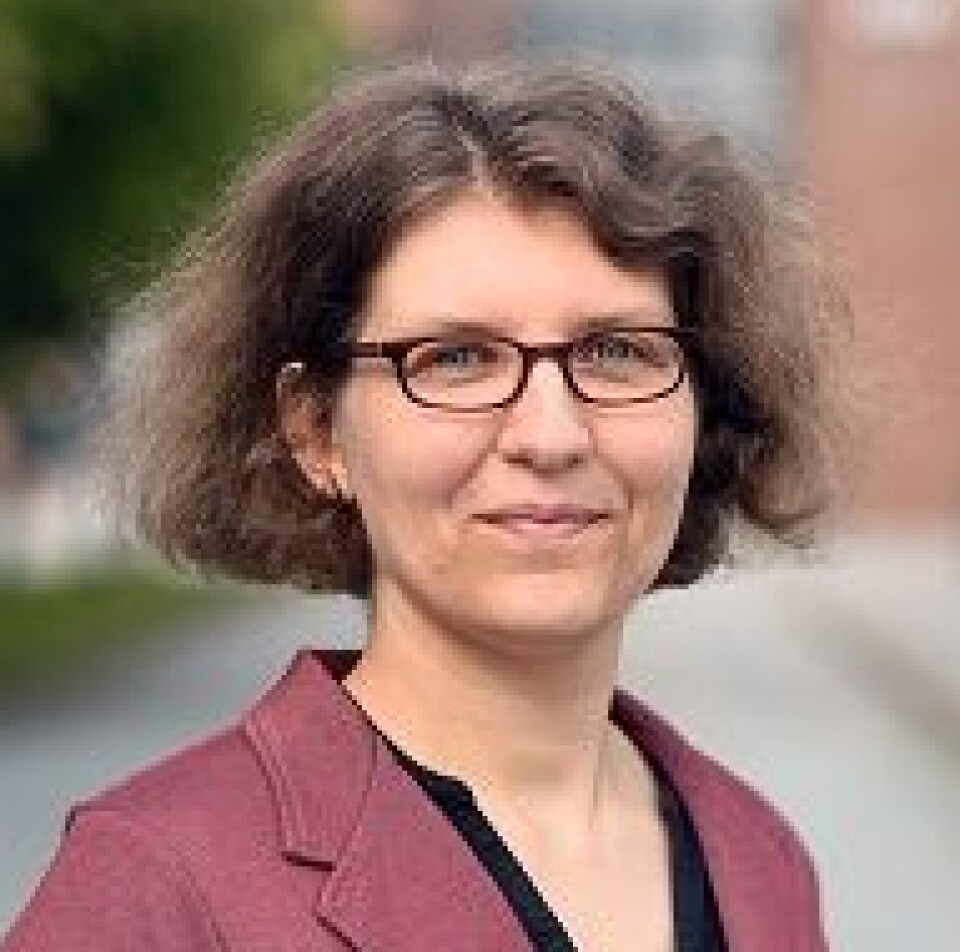 Anne Pintsch is an associate professor at the University of Agder.