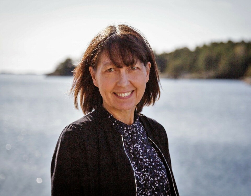 Tone Falkenhaug studies jellyfish and other small marine animals at the Institute of Marine Research (IMR).