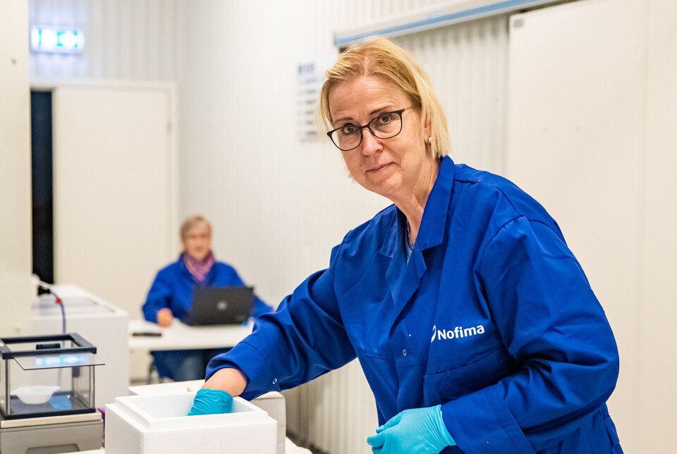 Ingrid Lein has been responsible for the experiments in which Nofima studies kidney stones in rainbow trout.