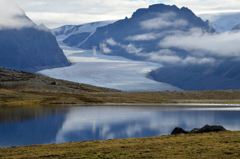 In deposits from a small lake in Svalbard, researchers found traces of life from the coldest period of the last Ice Age.