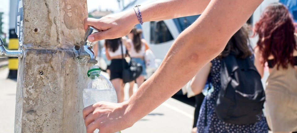 This is what happens to your body during a heatwave