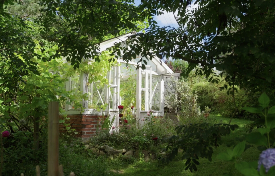 Nature-friendly gardens are rare. The new documentary Paradisets bakside (The flip side of paradise) showcases a variety of garden types – from lush lifestyle gardens like the one in the photo, to the simpler and far more common trampoline gardens.