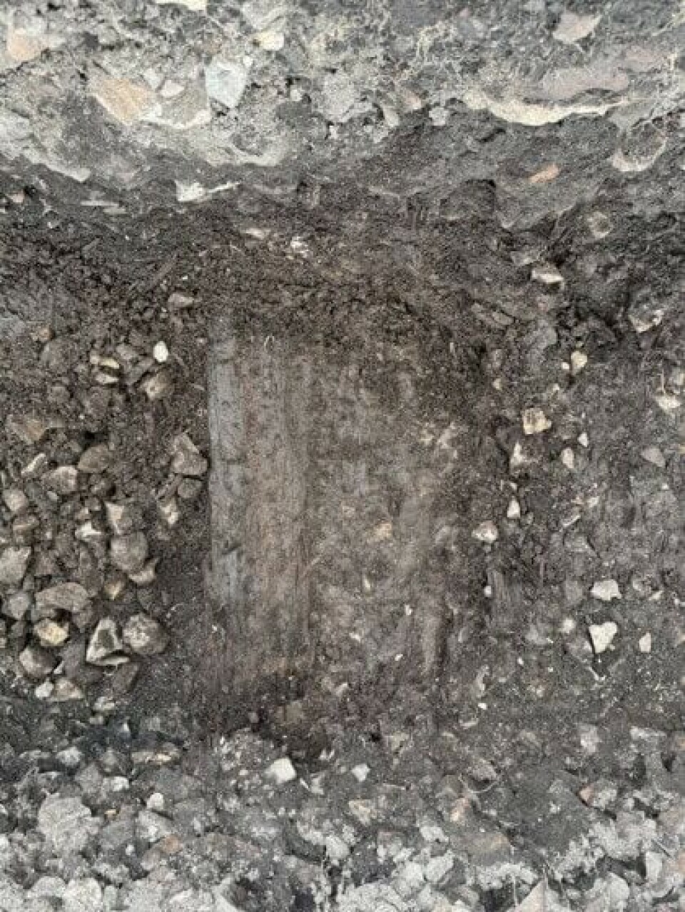 These wooden structures were exactly where the GPR indicated.