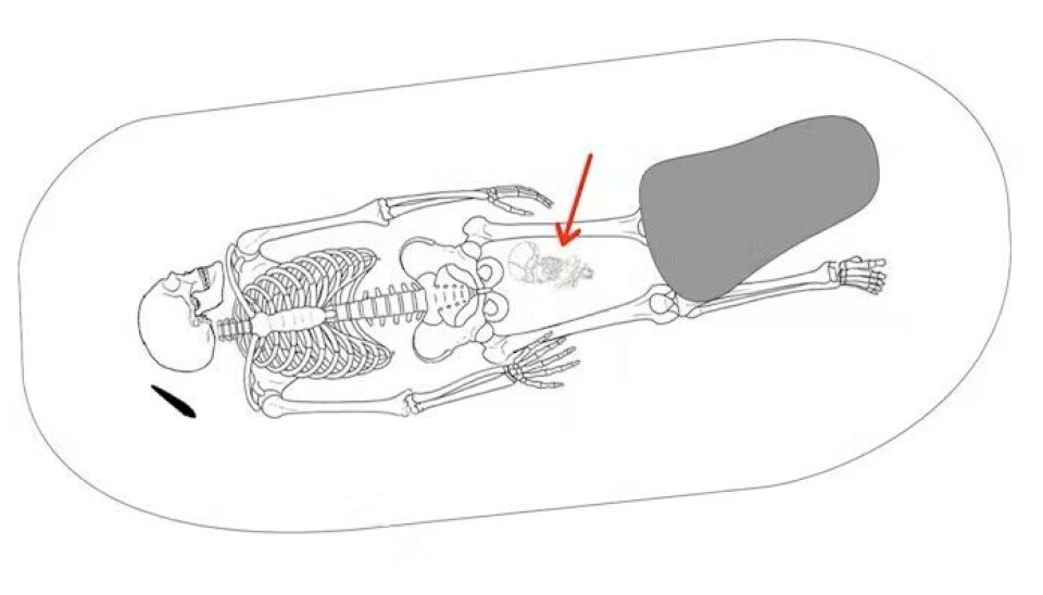 Drawing of a grave from Fjälklinge in Sweden. The woman is buried with her newborn child between her thighs.
