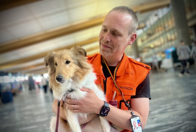 Do therapy dogs at airports help calm anxious travellers?