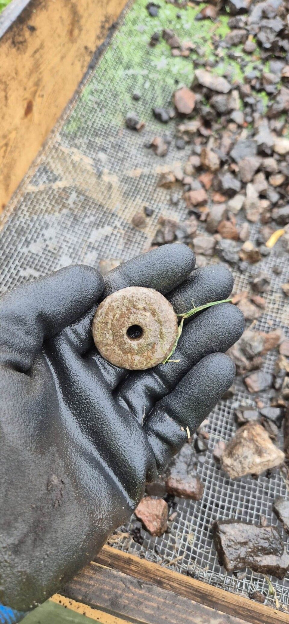 One of many finds from the thick stone layer covering the building was this spindle whorl.