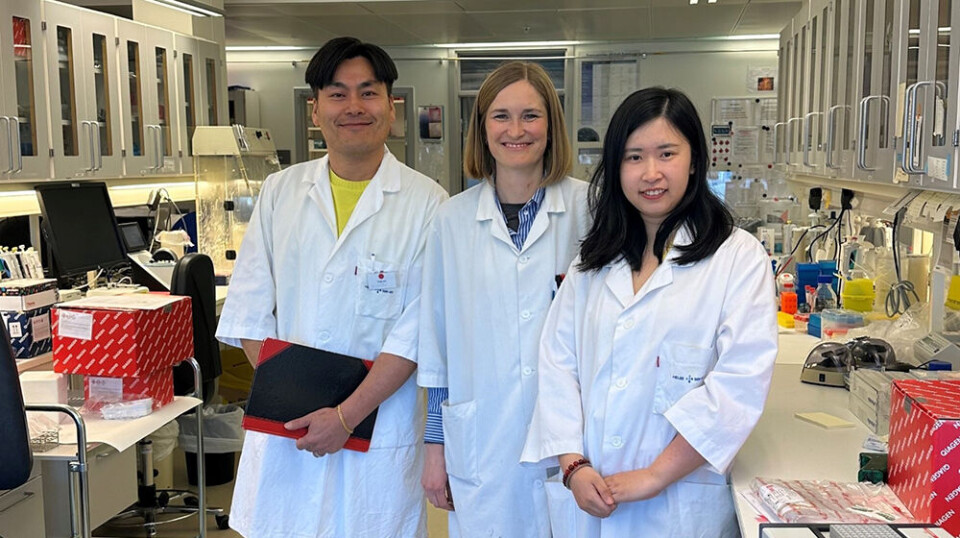Researchers Evandro Fei Fang-Stavem, Sofie Lautrup, and Caroline Shi-qi Zhang are investigating the mechanisms behind ageing.