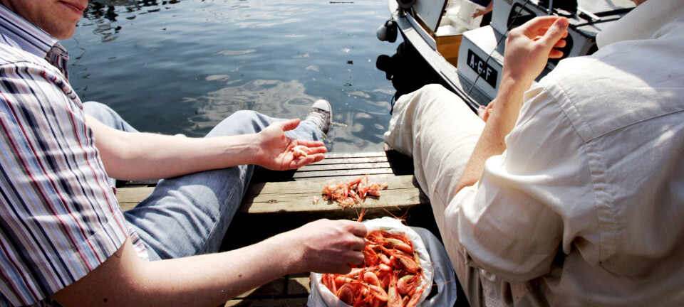 How did shrimp become a staple of Norwegian summer cuisine?