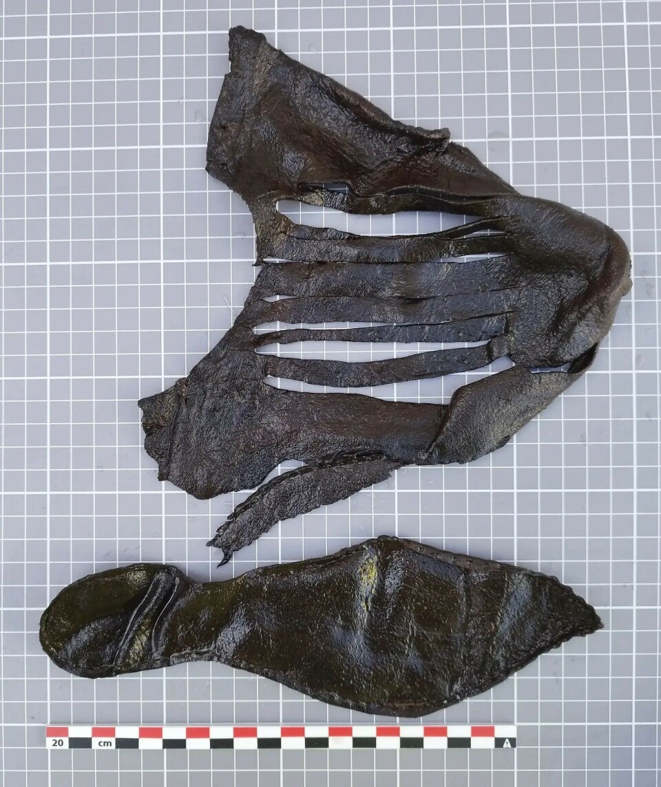 Many shoes were simple, but some could afford for them to be both practical and beautiful.