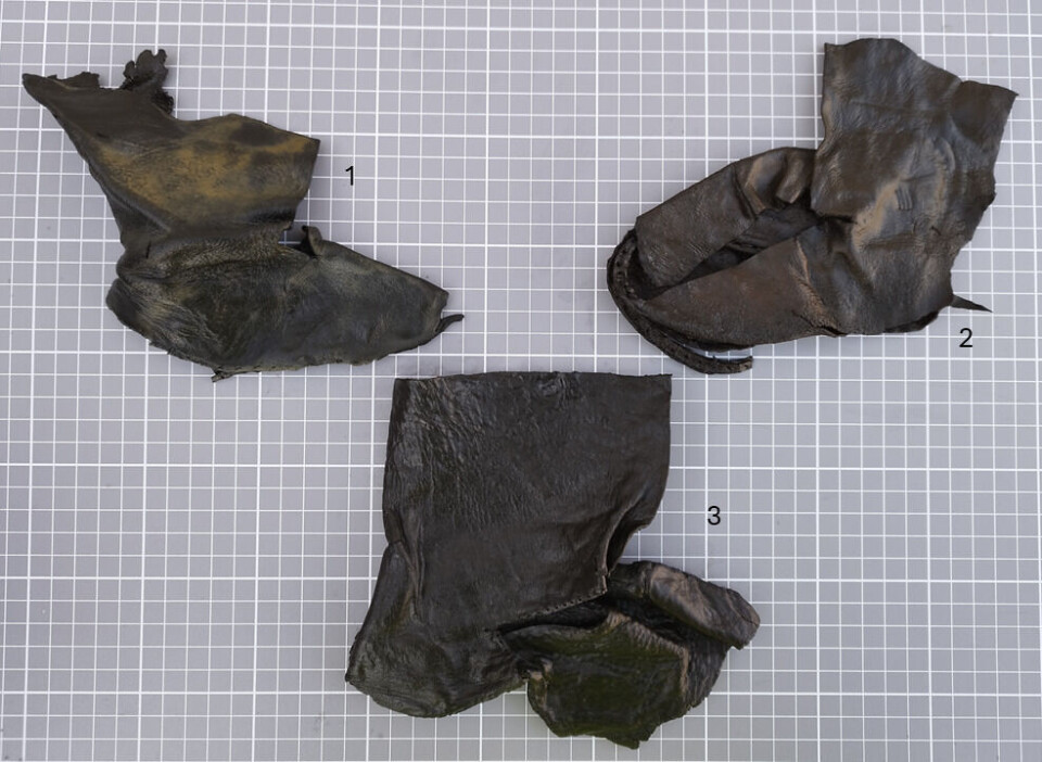 Three children's boots. Numbers 1 and 2 correspond to size 22-23 in modern sizes, meaning they would fit children aged 1-2 years. Shoe number 3 corresponds to size 30, for a child aged 8-9 years.