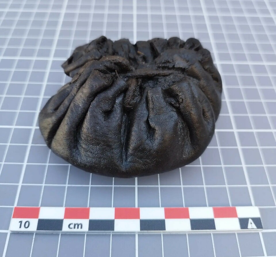 Archaeologists found two pouches of this model. Metal detector scans show that they do not contain any coins.