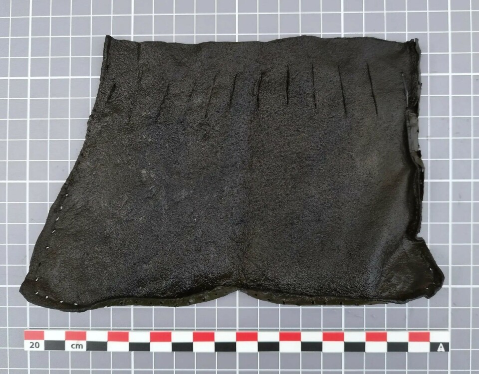 This may have been a pouch. There is clear stitching along the sides and bottom. At the top, there are slits, possibly for a drawstring. Maybe someone stored their coins here?