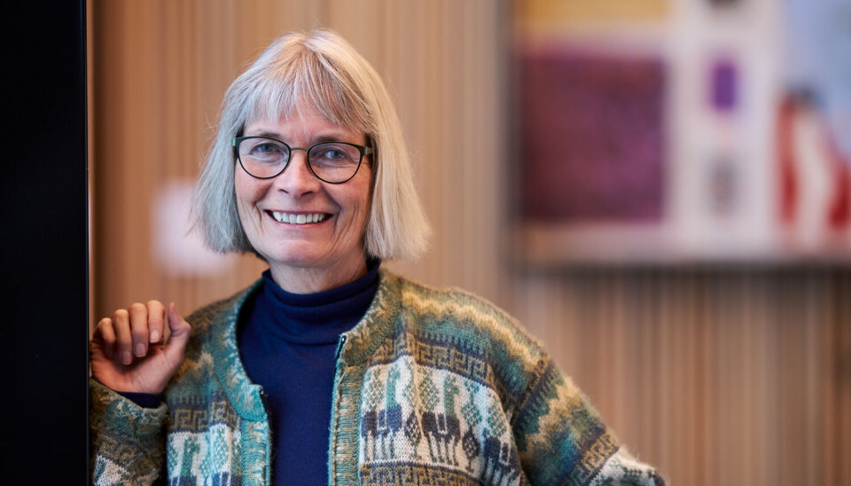 Veterinarian and animal welfare researcher Cecilie Marie Mejdell explains that animals can get sunburned and develop skin cancer, just like humans.
