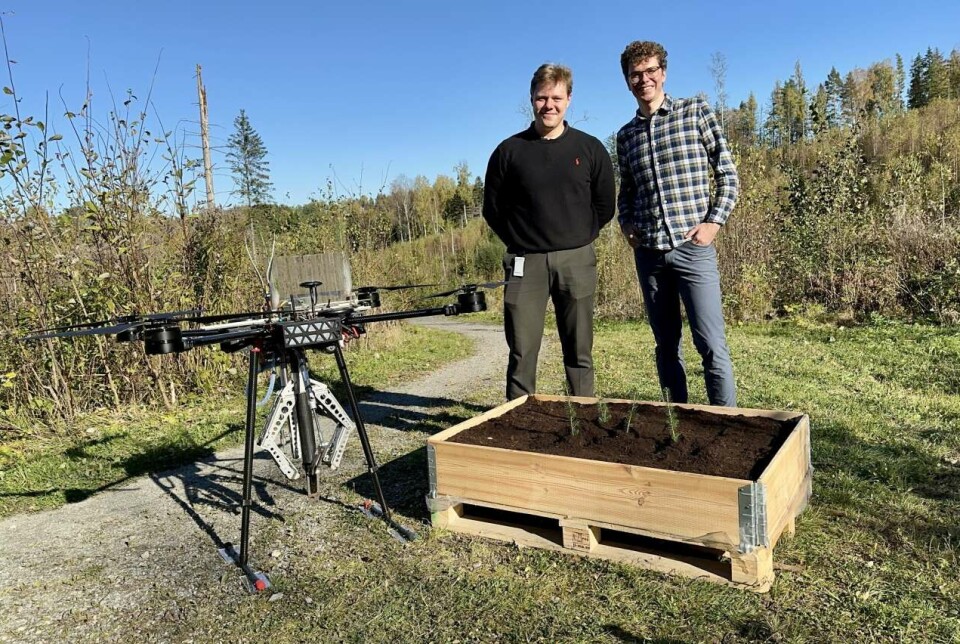 Researchers Thor Kamp Opstrup (University of Southern Denmark) and Steffan Lloyd (NIBIO) present the tree-planting drone SkyPlanter.