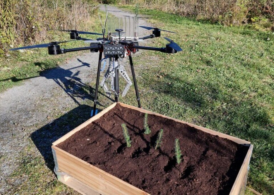 The tree-planting drone SkyPlanter is the result of a collaboration between NIBIO and the University of Southern Denmark.