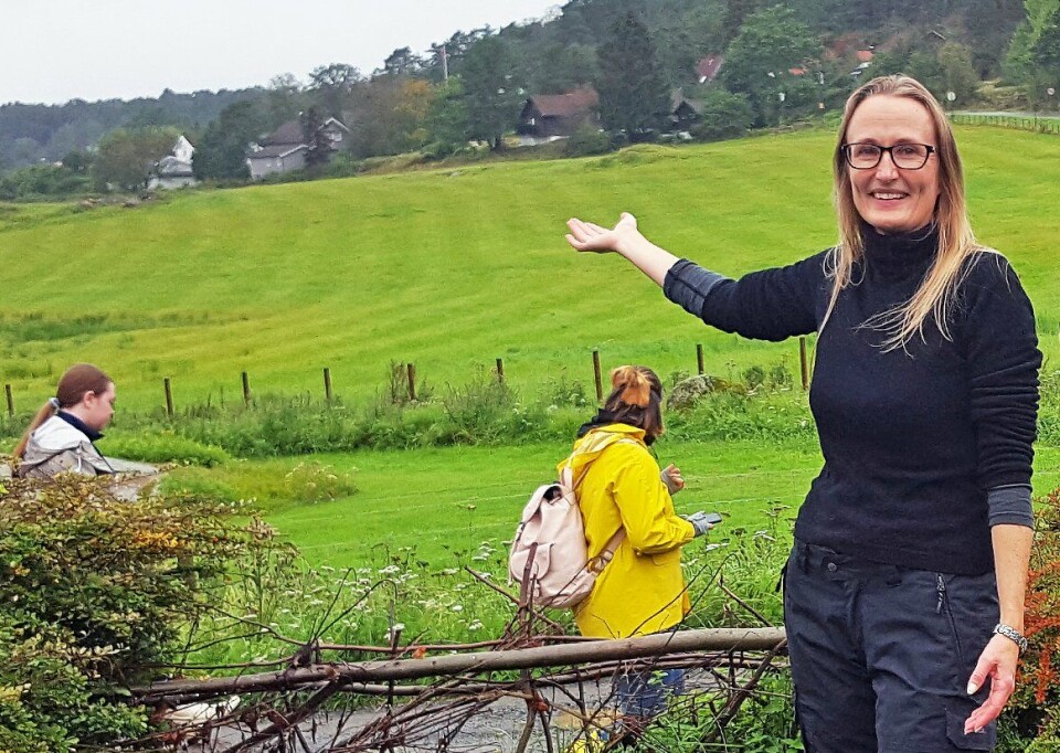 Archaeologists' most exciting finds: 'Are we watching a Viking town being ploughed away right in front of us?'