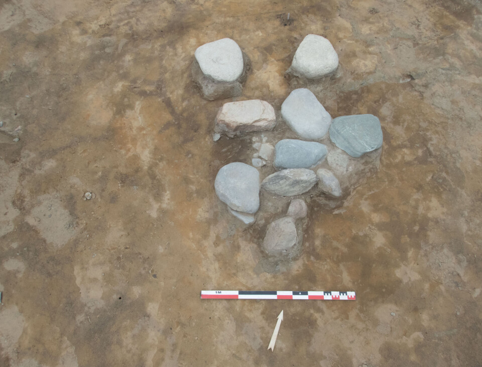 The stone cluster where the small engraved stone was found. It can just be seen in the photo, under a larger stone in the lower left corner.