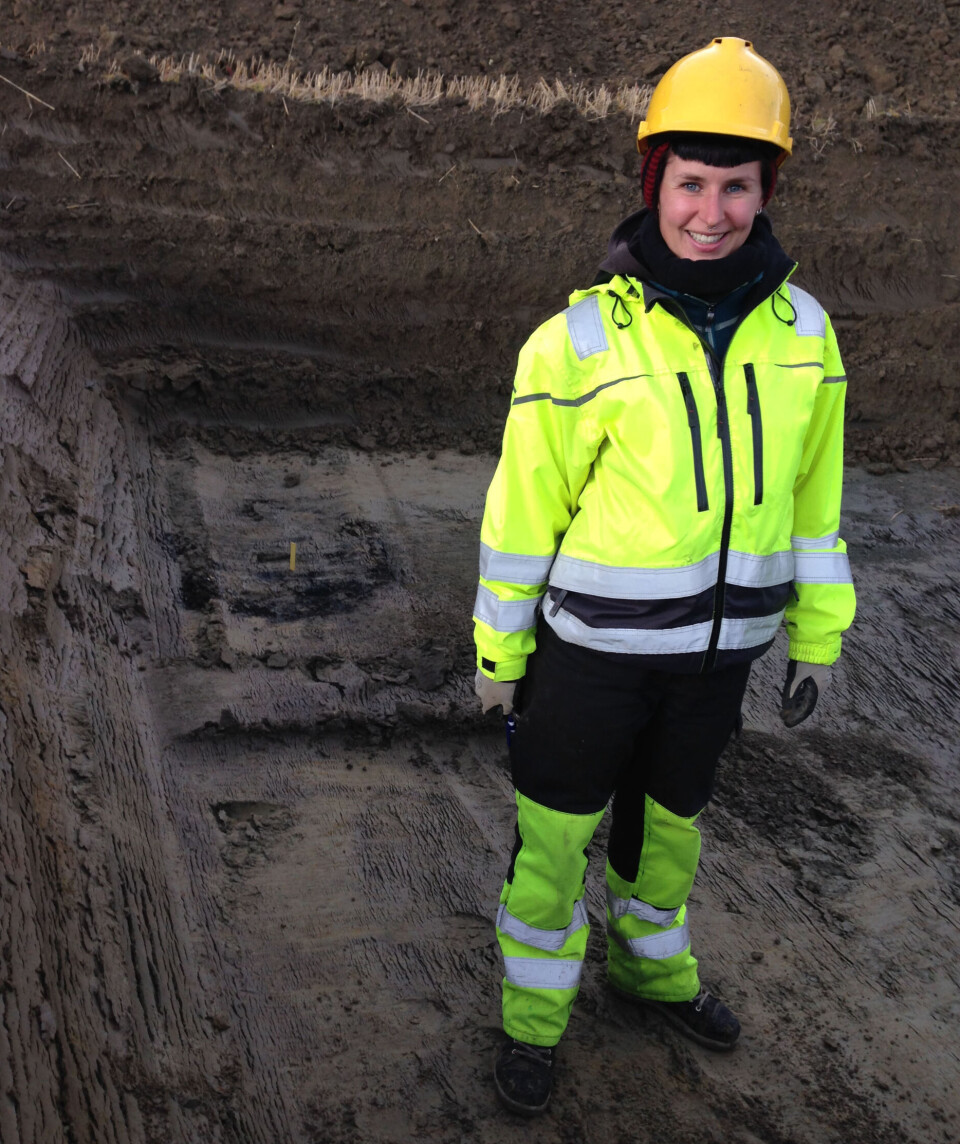 Hanne Bryn during the 2014 survey.
