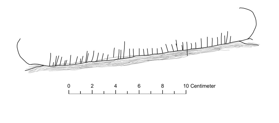 Drawing of the carved boat on the small stone.