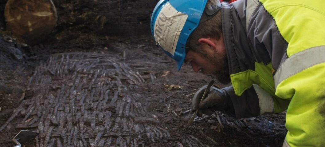 Archaeologists' most exciting finds: Beneath all the remains of dismembered cats, a beautiful latticework of twigs was revealed