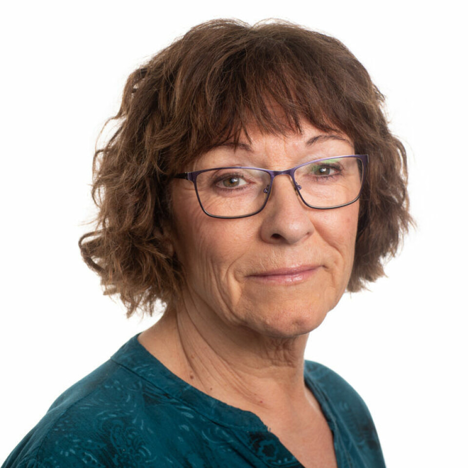 'We are aware that many people take early retirement, reduce their working hours, or go on sick leave in order to care for their elderly relatives. This can hardly be a good solution, given that there are already too few people in the workforce in Norway today,” says Professor Wenche Malmedal.