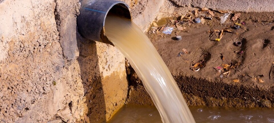 Sunlight and oil solve a dirty problem