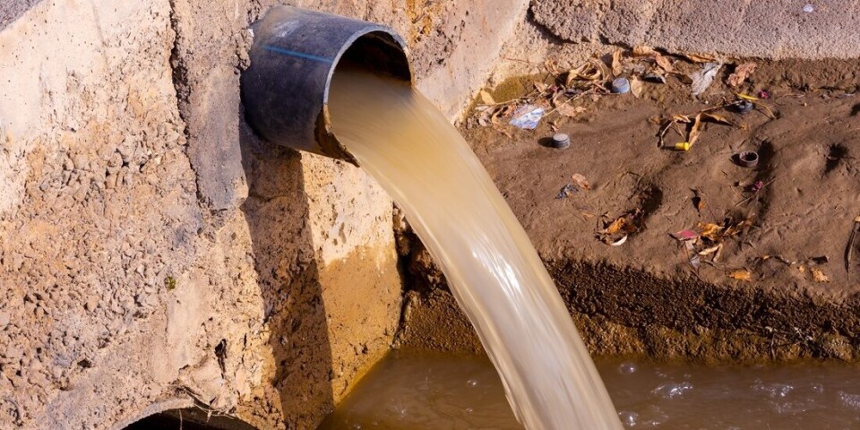 Wastewater can be treated using a completely new method.