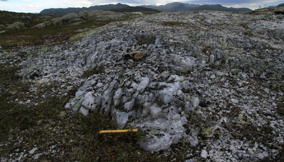 Parts of the quarry in Hemsedal. The quartzite comes away from the mountainside in blocks, slabs, and smaller fragments.