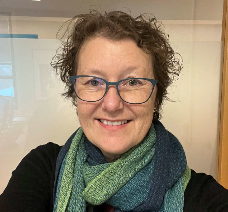 Astrid Nyland is an archaeologist and researcher at the University of Stavanger. She has, among other things, specialised in stone quarrying and rock art as part of storytelling in Stone Age communities.