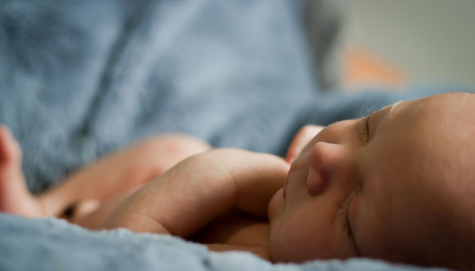 A new study shows that babies delivered by C-section, or born prematurely, clearly had far more multi-drug resistant bacteria in their gut than babies born vaginally.