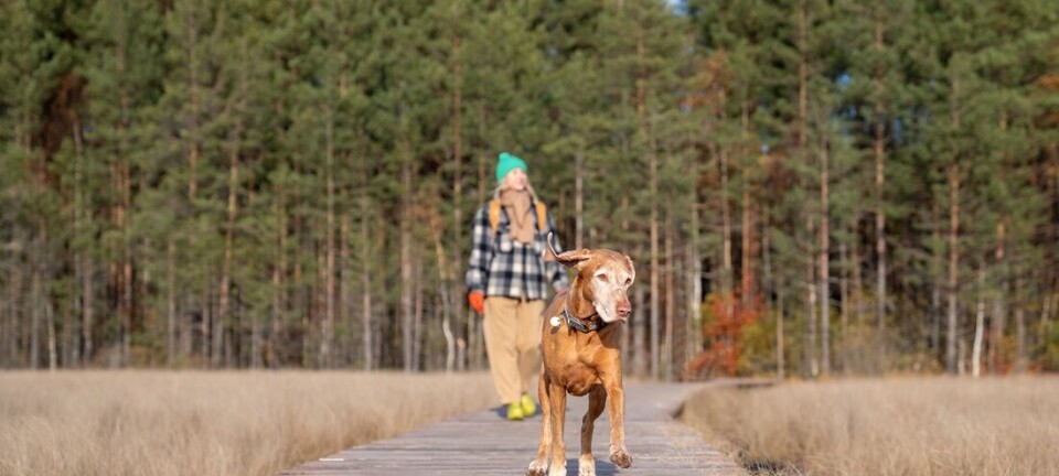 A simple habit may protect you from chronic back pain