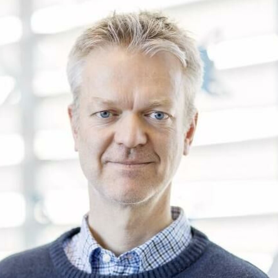 Paul Jarle Mork is a professor at NTNU’s Department of Public Health and Nursing.