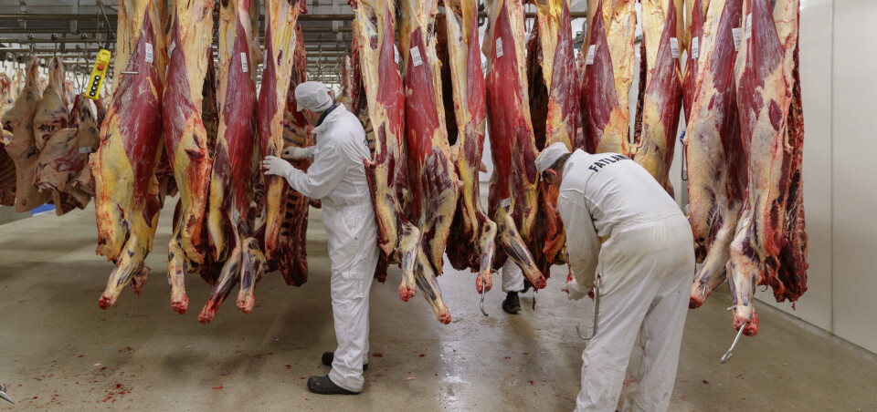 Where does all the blood from slaughtered animals go?