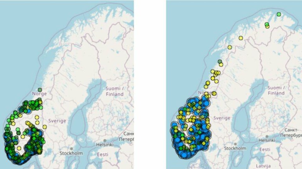 Records of European goldfinch on artsobservasjoner.no in 2014 and 2024.